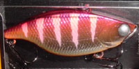 ��TN50