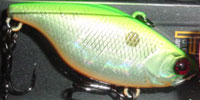 ��TN50