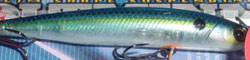 ����ȥߥΡ�80SP (10�����ƥ�)