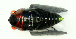 No.62779 