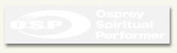 OSPサイドロゴステッカー (2アイテム)
